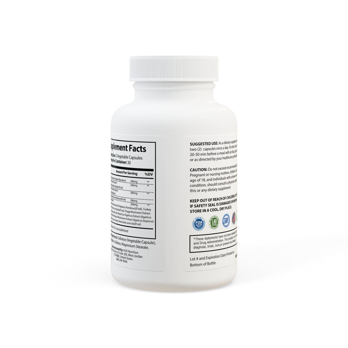 Lowkey Healing Mushroom Blend- Daily Wellness Supplement (60 capsules)